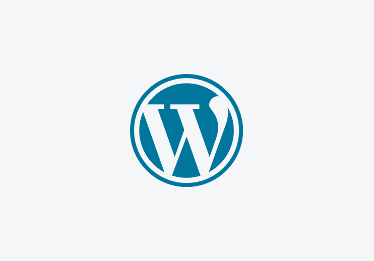 WordPress建站从入门到精通，跨境电商建站教程分享！-链启库 lianqiku.com